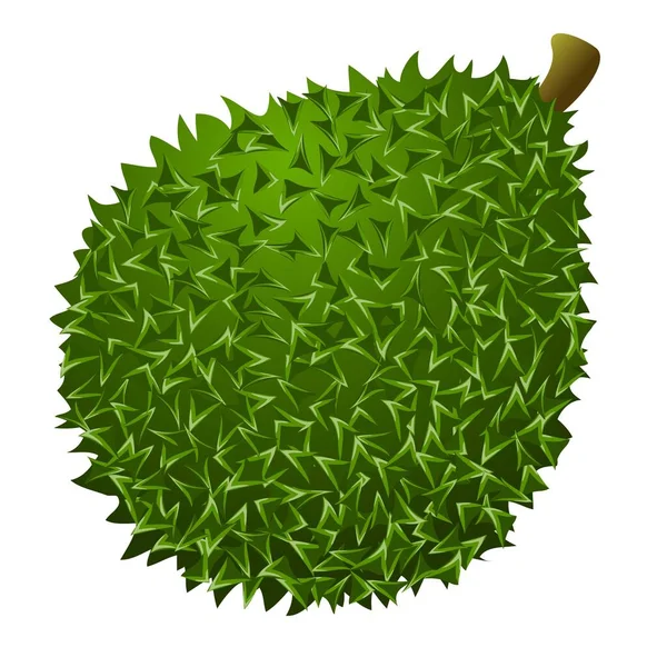 Ícone duriano orgânico, estilo cartoon — Vetor de Stock