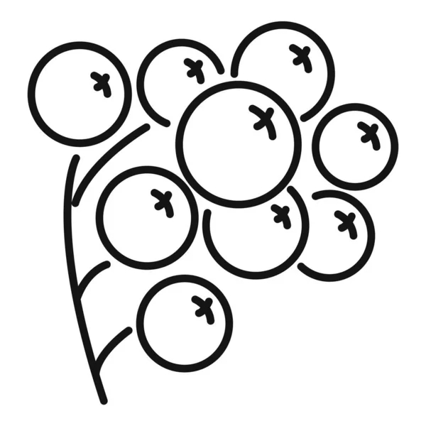 Rowan les bobule ikona, obrys styl — Stockový vektor