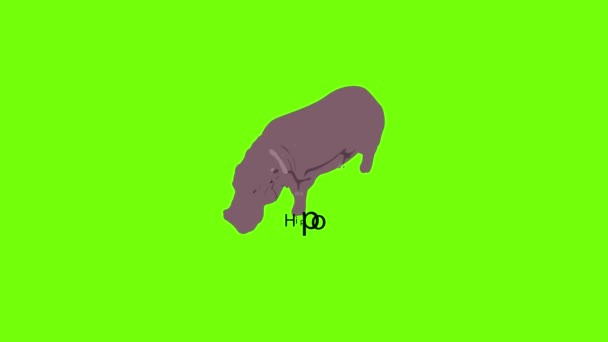 Hippo Icono de animación — Vídeos de Stock