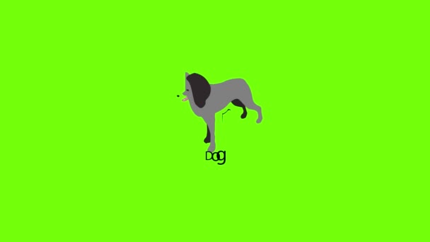 Анимация иконок собаки — стоковое видео