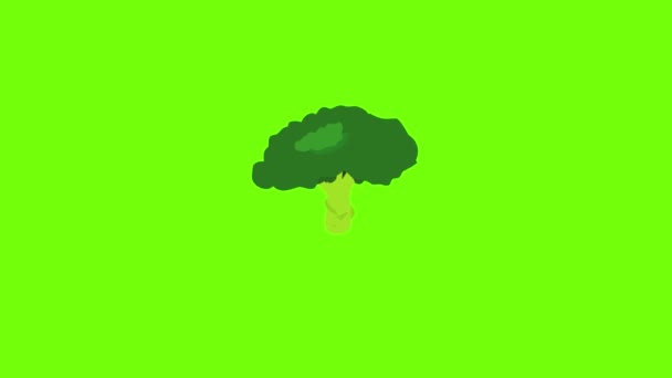 Broccoli ikon animation — Stockvideo