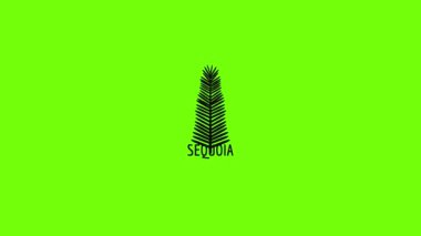Sequoia leaf icon animation