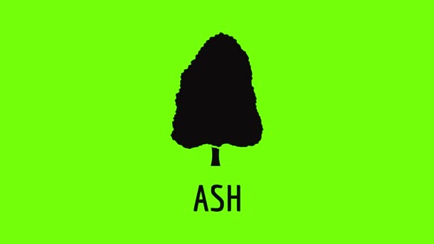 Animação de ícone de árvore de cinzas — Vídeo de Stock