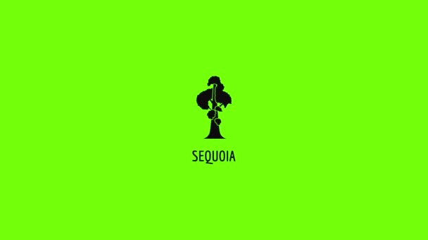 Sequoia icon animation — 비디오