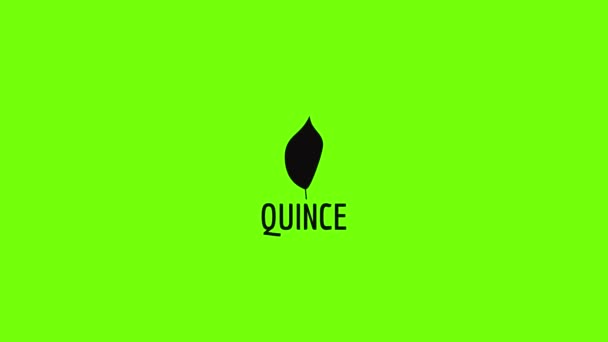 Quince blad pictogram animatie — Stockvideo