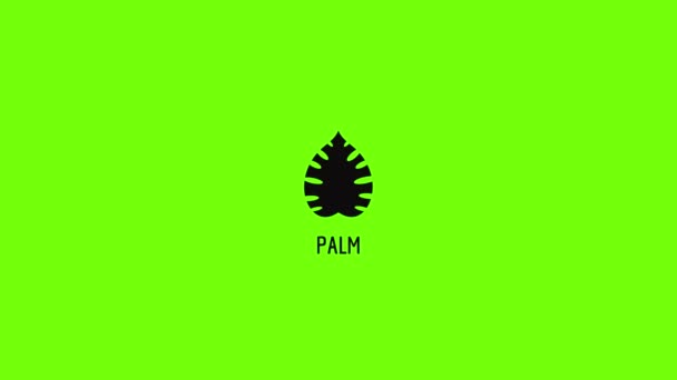 Palm leaf icon animation — Stock Video