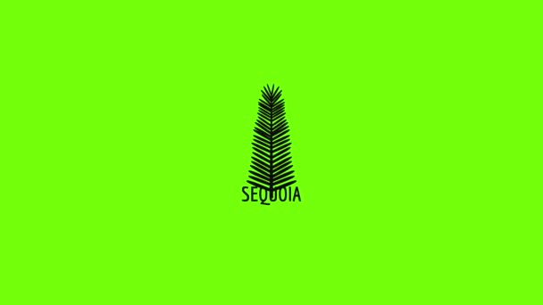Sequoia leaf icon animation — Stockvideo