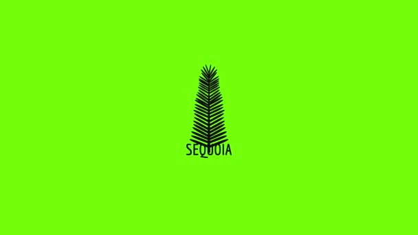 Animación icono de hoja de Sequoia — Vídeos de Stock