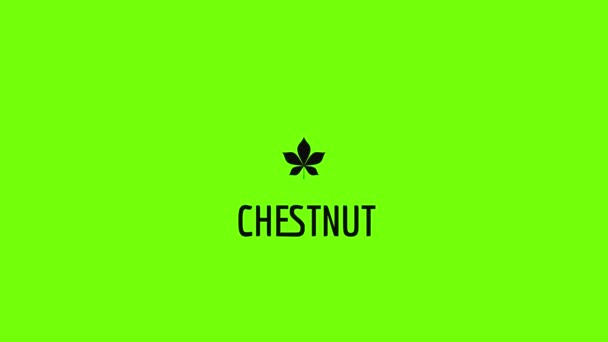 Chestnut leaf icon animation — Stock Video