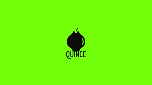 Quince icon animation — ストック動画