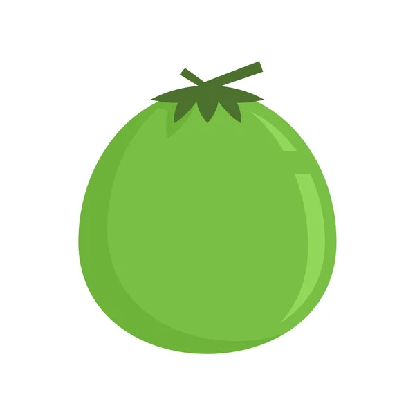 Icono de coco crudo vector plano aislado — Vector de stock