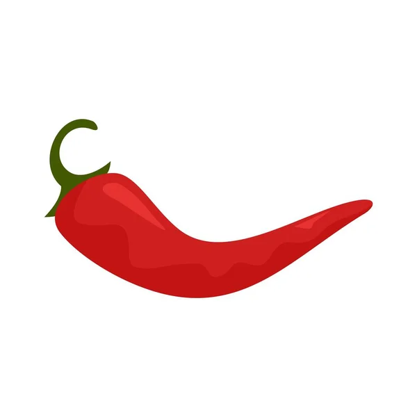 Culinaire chili peper pictogram platte geïsoleerde vector — Stockvector