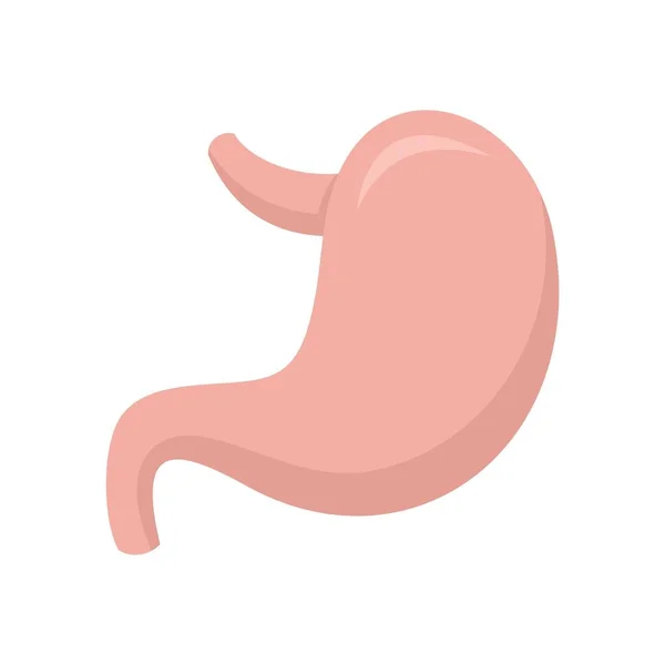 Icono del estómago humano plana vector aislado — Vector de stock