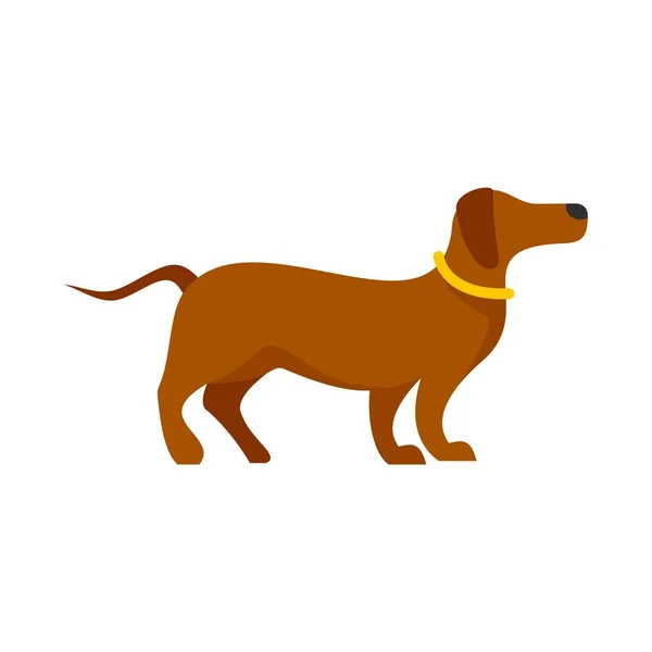 Sport dog training icon flat isolated vector — Stock Vector