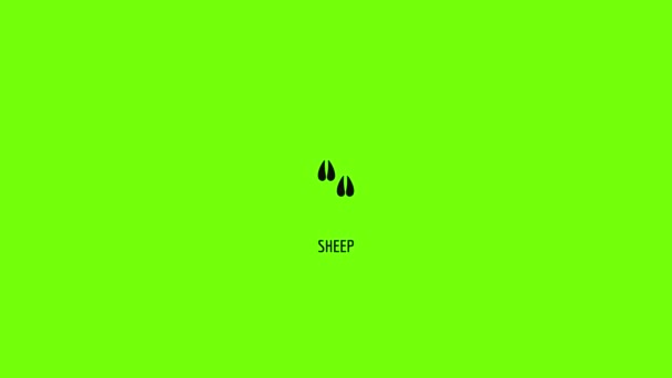 Sheep step icon animation — Stock Video