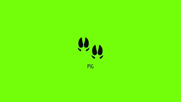 Анимация значка свиного шага — стоковое видео