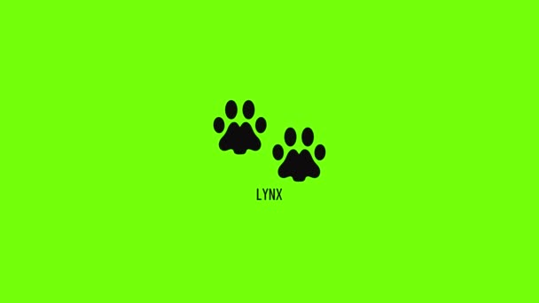 Animation des Lynx-Schrittsymbols — Stockvideo