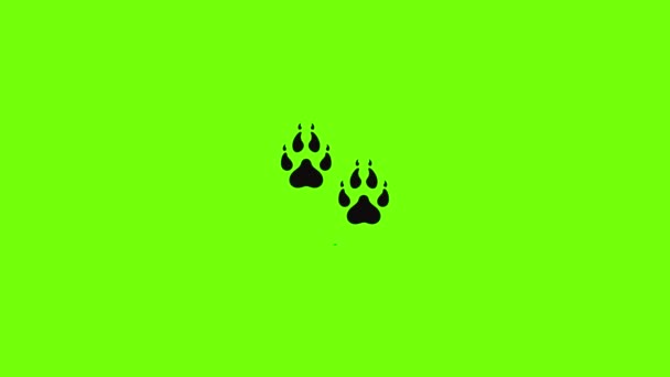 Lobo paso icono animación — Vídeo de stock
