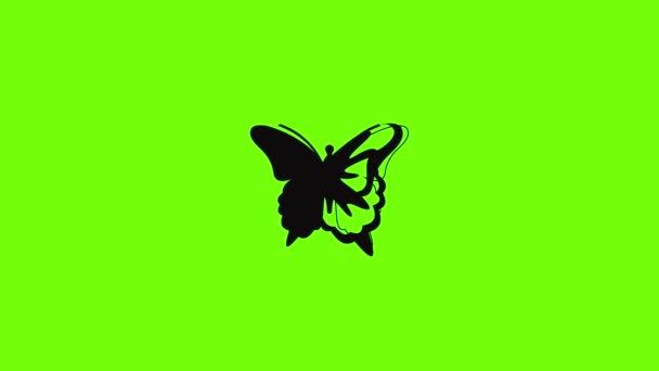 Анимация бабочек-насекомых — стоковое видео