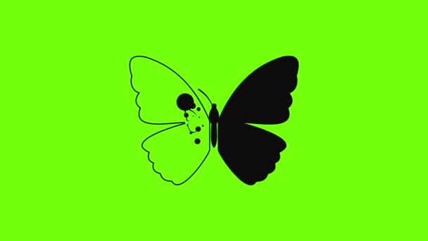 Spring butterfly icon animation — Stock Video