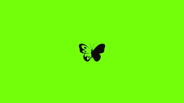 Papillon dans l'animation icône de la faune — Video