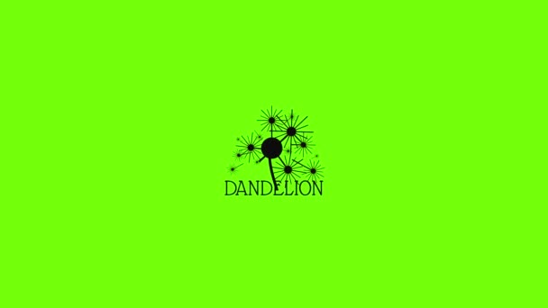 Fluffy dandelion logo ícone animação — Vídeo de Stock