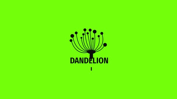 Bonito dandelion logotipo ícone animação — Vídeo de Stock