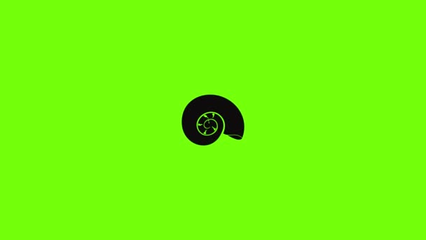 Icono de concha redonda animación — Vídeo de stock