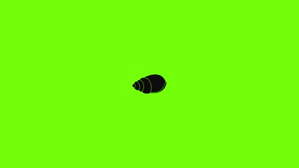 Animace ikon jednoho shellu — Stock video