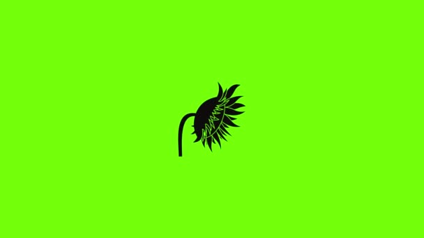 Animation mit Sonnenblumen-Symbol — Stockvideo