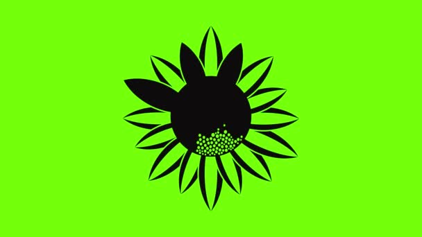 Animace ikon slunečnicových semen — Stock video