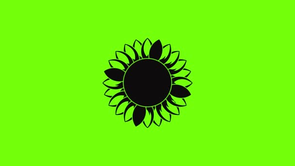 Ronda de animación icono de girasol — Vídeo de stock