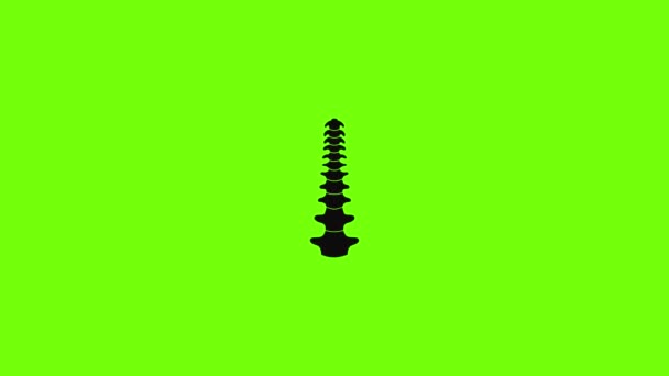Human spine icon animation — Stock Video