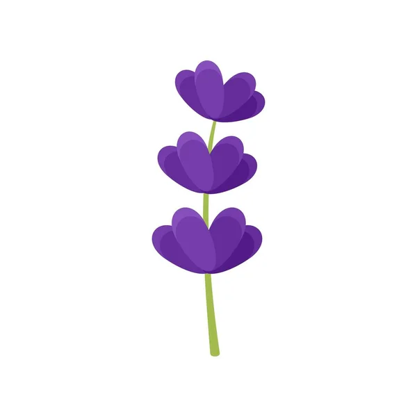 Lavender leaf icon flat isolated vector — Stock Vector