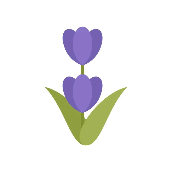 Garden lavender icon flat isolated vector — Stock Vector