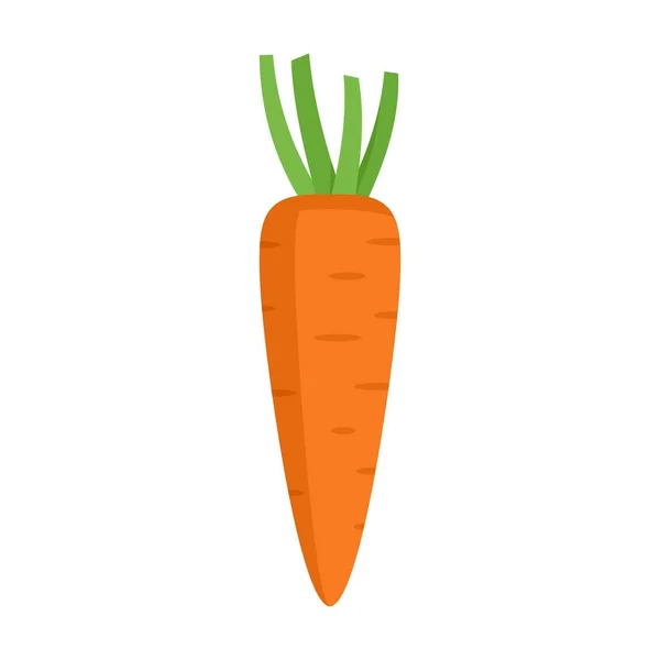 Vitamina icona carota vettore isolato piatto — Vettoriale Stock