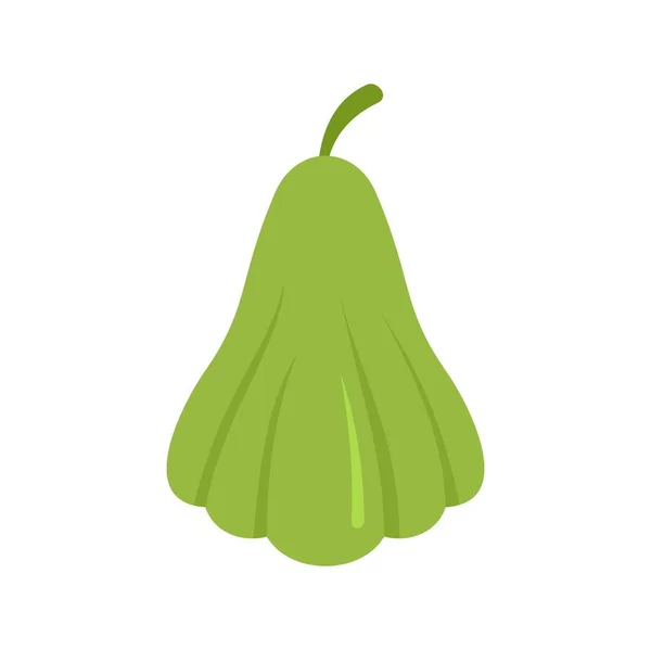 Chayote planta icono plano aislado vector — Vector de stock