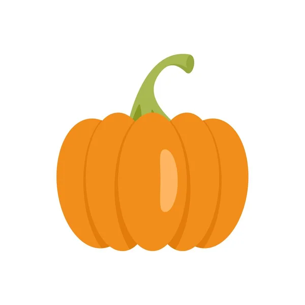 Celebración icono de la calabaza plana aislado vector — Vector de stock