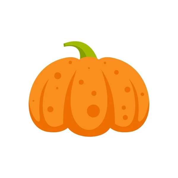 Icono decorativo calabaza plana aislado vector — Vector de stock