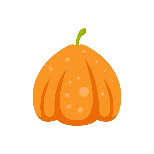 Holiday pumpkin icon flat isolated vector — 스톡 벡터