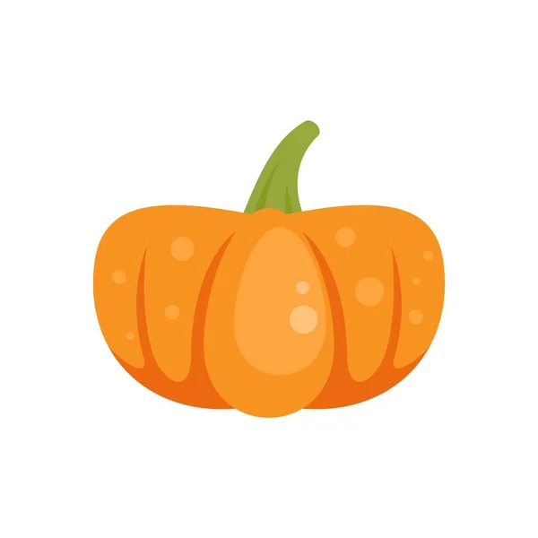 Icono tradicional calabaza plana aislado vector — Vector de stock