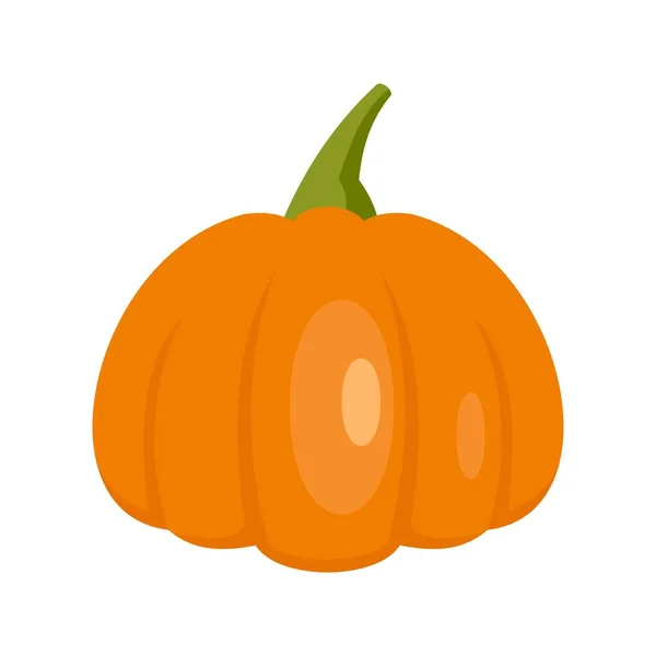 Campo icono de calabaza plana aislado vector — Vector de stock