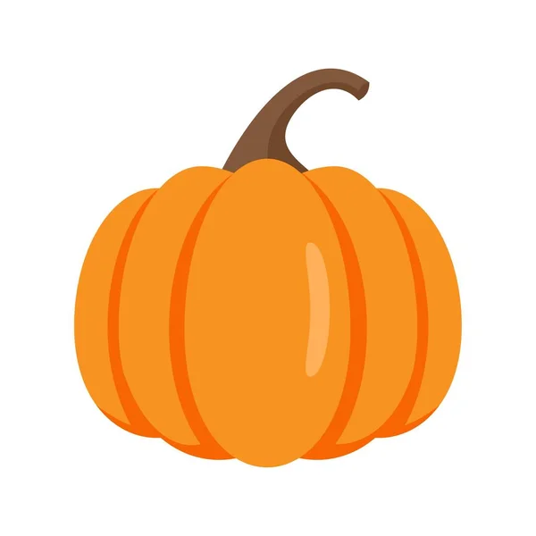 Raw pumpkin icon flat isolated vector — 스톡 벡터