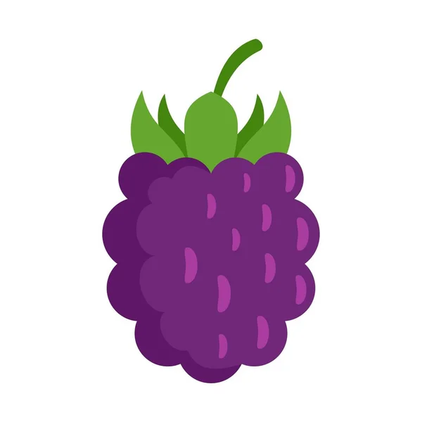 Wild blackberry icon flat isolated vector — Stock Vector