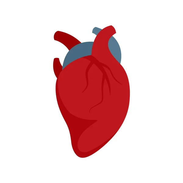 Тіло людини значок серця плоский ізольований вектор — стоковий вектор