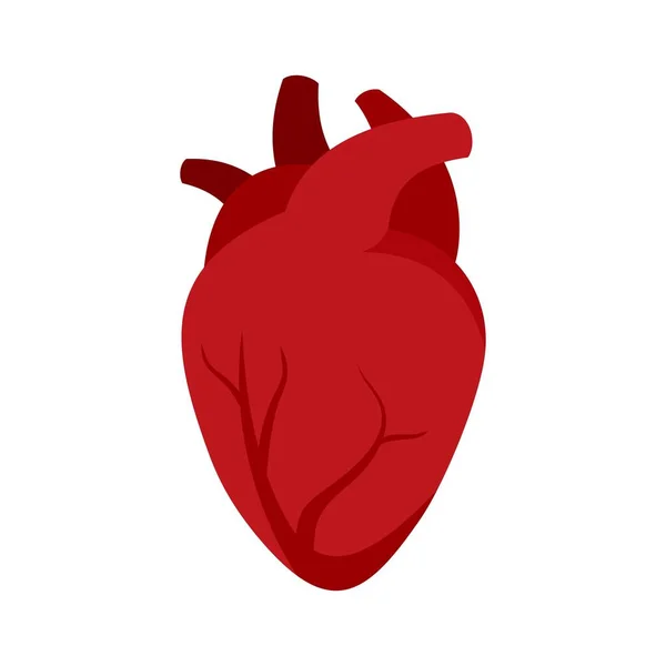 Орган значок людського серця плоский ізольований вектор — стоковий вектор