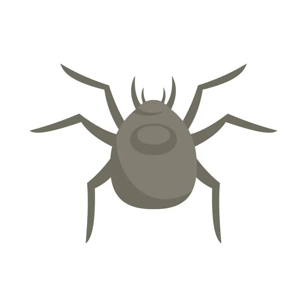 Ícone de bug da floresta aranha vetor isolado plano — Vetor de Stock