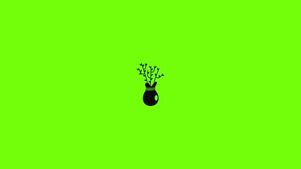 Planta para la animación icono de semilla — Vídeos de Stock