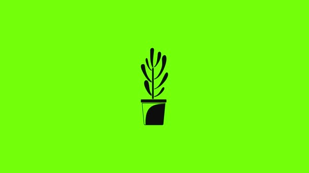 Planta árbol cactus icono de animación — Vídeo de stock