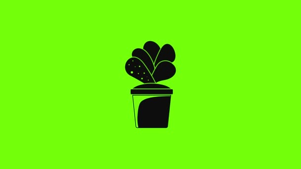 Maison cactus pot icône animation — Video